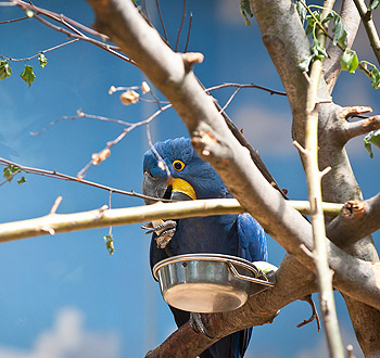 ip攻击器网页版