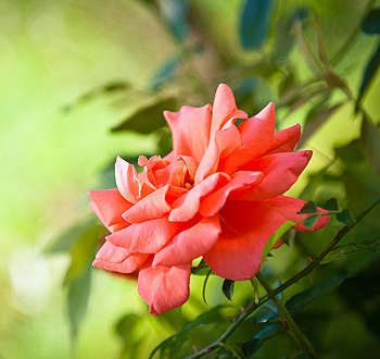 ddos服务器攻击手段