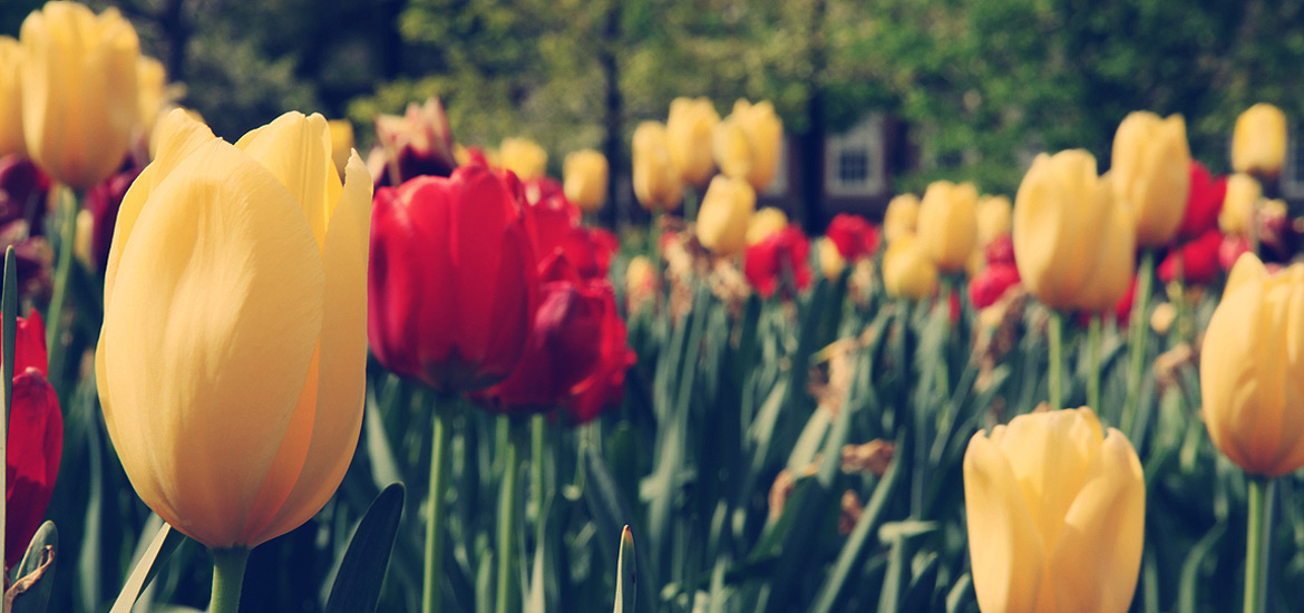 ddos攻击ip软件下载