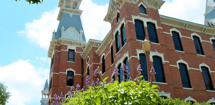 自动攻击网站工具下载